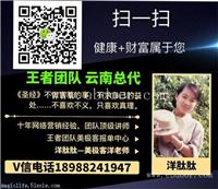 云南美极客加盟