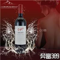奔富389 T-0310001