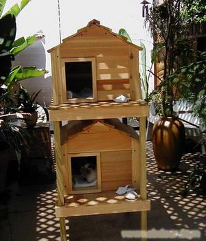 上海专业制作狗房子