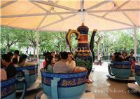 大型游乐设备厂家 公园游乐设备转转杯