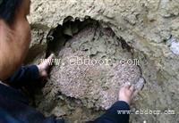 萝岗家庭上门治白蚁灭白蚁公司