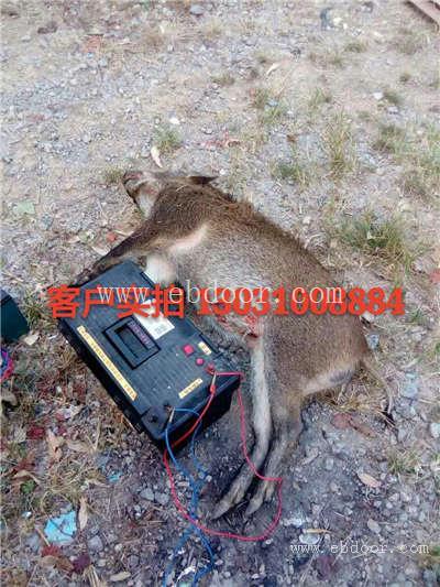 西双版纳野猪捕猎机智能型省电安全