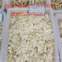 西洋参 花旗参洋参人参的价格在线咨询