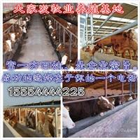 景德镇市珠山区肉牛养殖场
