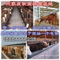 江西省赣州市章贡区养牛养牛场
