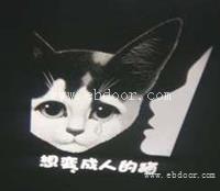 灰阶logo片制作单色logo片价格