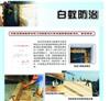 南沙区东涌专业灭白蚁白蚁防治公司