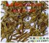 中药供应素馨花耶悉茗花价格咨询