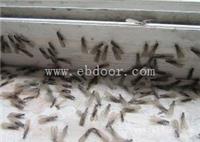 番禺沙湾白蚁防治中心白蚁防治所
