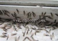 番禺沙湾白蚁防治中心白蚁防治所