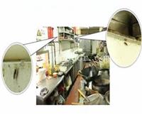 酒店饭店灭蟑螂番禺上门灭蟑螂