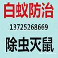 南沙灭鼠公司哪家好黄阁镇灭鼠公司