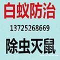 南沙灭鼠公司哪家好黄阁镇灭鼠公司