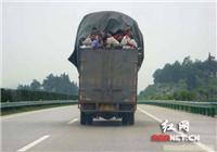 无锡至呼和浩特专线捷迅运输/无锡到呼和浩特大件运输公司/无锡到呼和浩特物流 