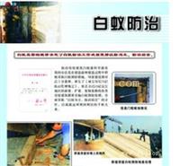 萝岗专业杀白蚁公司
