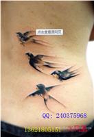 小燕子纹身图案大全|小燕纹身图片大全
