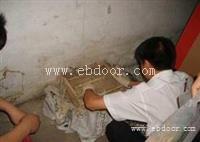 家里怎么杀白蚁上门灭白蚁多少钱