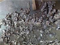 废锡渣，废锡灰回收多少钱一公斤