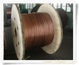 上海铜绞线公司 