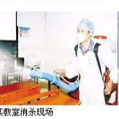 南沙区杀白蚁南沙杀白蚁公司哪家专业