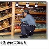 广州杀白蚁公司哪家效果好服务靠谱