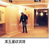广州的杀虫公司防治白蚁