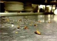 广州经常下雨很容易滋生各种虫子蟑螂怎么杀