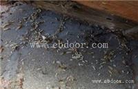 番禺仓库灭跳蚤工厂杀臭虫餐厅灭蟑螂灭老鼠