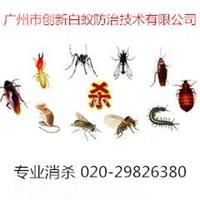 广州杀虫公司专业酒店除四害