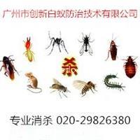 广州杀虫公司专业酒店除四害