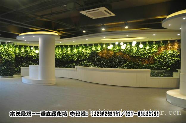 上海市专业屋顶绿化施工队，上海市景观植物背景墙，上海市室内绿化植物墙