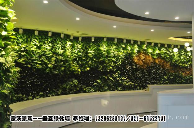 上海市专业屋顶绿化施工队，上海市景观植物背景墙，上海市室内绿化植物墙