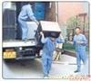 上海小型搬场搬家电话58571126 