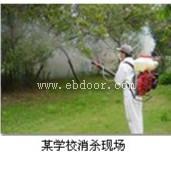工厂树上有白蚁要怎么处理广州灭白蚁公司