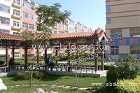 湖南古建别墅-敖龙