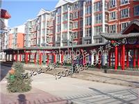 湖南中国古建门-敖龙