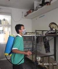 臭虫怕什么怎么防治臭虫滋生
