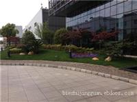 上海工厂绿化/花园绿化/上海别墅绿化