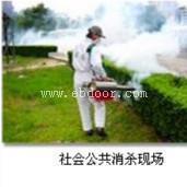仓库有很多蚊子要怎么消杀防治