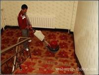 上海地毯清洗-地毯清洗公司