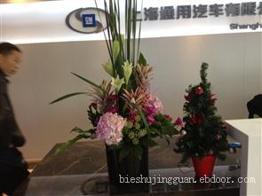 上海室内植物租赁_室外花园养护_上海花园养护
