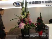 上海室内植物租赁_室外花园养护_上海花园养护