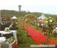 上海婚庆礼仪服务 xx0109 