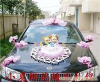 奉贤鲜花婚庆 xx0119 