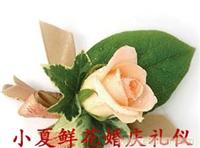 奉贤婚庆公司 xx0697 