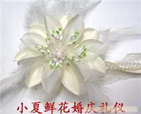 奉贤鲜花快递 xx2598 