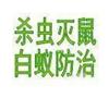 工厂宿舍专业杀臭虫服务广州杀臭虫公司