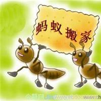 上海蚂蚁搬家 