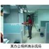专业杀虫公司如何杀白蚁除四害