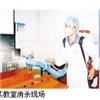 办公室的跳蚤怎么杀宠物身上灭跳蚤